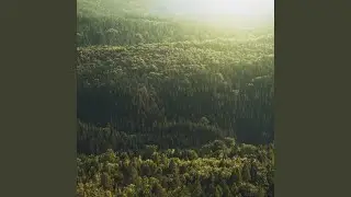 Little Valley