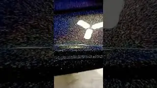 Prismatic Black