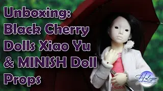 Unboxing: Black Cherry Dolls Xiao Yu and MINISH Doll Props