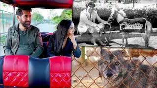 Así es el Zoológico secreto de la familia Hank en Tijuana