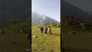 chukail Banda #nature#wildlife#vlog#youtube#travel blog#travel@YouTube #Facebook reels#insta