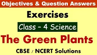 The Green Plants | Class:4 Science | Exercises and Question Answers| CBSE/NCERT | MCQ and objectives