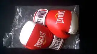 everlast  leather boxing gloves  14oz  new  knockout price