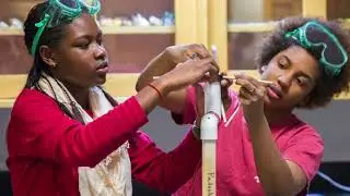 2017 NC STEM Hall of Fame Honoree: Burroughs Wellcome Fund