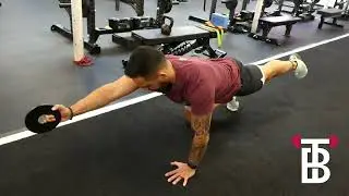 Weighted Bird Dogs