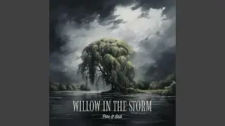 Willow In The Storm