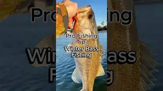 3 Winter Bass Fishing Tips #fishing #fishingtips #bassfishing