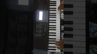 Si o No - Franco Rojas - Russkaya - Teclado Casio CT X800