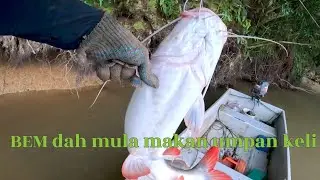 BEM dah mula makan umpan keli 😄