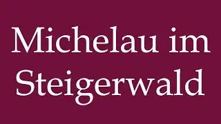 How to Pronounce ''Michelau im Steigerwald'' Correctly in German