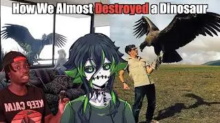 We Owe This Vulture On Steroids An Apology | Casual Geographic Reaction