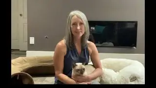 Holistic Cat Health:  The story behind Purrrfectly Holistic | Purrrfectly Holistic