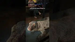 Definisi night at the museum😨 #dinosaurus #naturalhistorymuseum