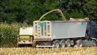 Trinciato 2018 - Class 840-Iveco Stralis-Fendt 412-Fendt 720 By Tonello Team - Silage 2018