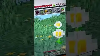 Seltene Dinge  in Minicraft