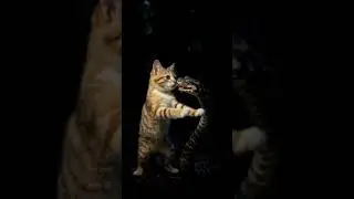 Snake Attack on cat #cat #snake #viralshorts #emotionalstory #aicartoon #Ai Cartoon