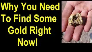 MIND-BLOWING Gold Mining Secrets Revealed