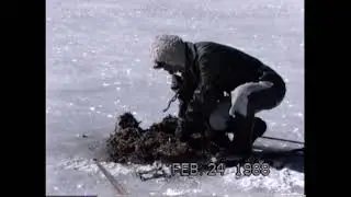 Muskrat Trapping Explained. 1988