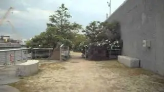 Nature-walk