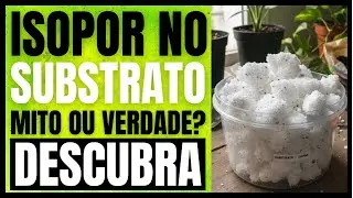 Como utilizar o ISOPOR no SUBSTRATO! #isoporcomosubstrato #plantas #substratosparaplantas