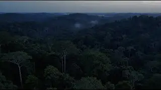 Iron Monkey Hype Video