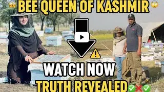 EVERYONE TALKS ABOUT |😱BEE QUEEN OF KASHMIR |AND ₹8 LAKH A MONTH 😨THIS IS THE TRUTH, BY ME. ⚠️🐝