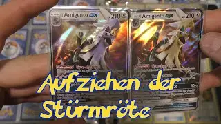 Meine Pok&eacute;monkarten #5 - SM4 Aufziehen der Sturmr&ouml;te