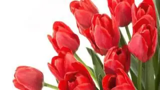 beautiful nature wallpapers 14