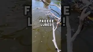 How To Get FREE LURES!