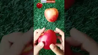 Unique Apple Cutting Skills 🍎🍏❣️#applecutting #asmr #shorts