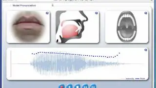 How to pronounce the /er/ sound