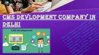 Website Designing in Delhi University