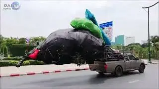 TOTAL IDIOTS AT WORK 2022 2022 | FUNNY FAILS | Bad Day at Work| Idiots at Work & idiots in cars 2022