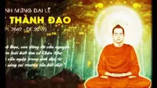 Nhạc thiền tĩnh t&acirc;m_k&iacute;nh mừng Phật th&agrave;nh đạo PL2562 - DL2019