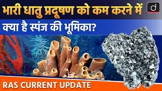Tackling Metal Pollution with Sponges  | Current Affairs  | RAS Current Update | Drishti RAS