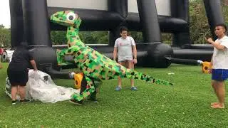 Old cardboard dinosaurs costume