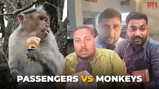 Monkey menace at Meerut South Rapid Rail Station leaves passengers, vendors distressed