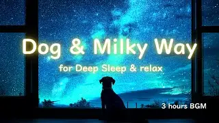 🌙 Black dog & Milky Way: 3 Hour BGM Deep Sleep Music (60 BPM) for Ultimate Relaxation 🌌