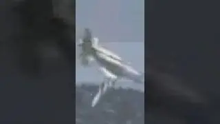 C-130 wing explodes near Dobbins AFB Marietta, Georgia 4/2/24
