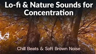 Golden Fall: 1 Hour of Lo-fi & Nature Sounds for Concentration (Brown Noise Hybrid)