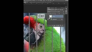 Remove cage in photoshop | #shorts #imapix