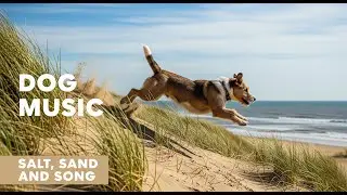 Dog Calming Music for Road Trips | Anti-Nausea, Low-Frequency Pads to Keep Them Relaxed