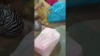 Nice Clip Selected 2024 #fuuny #gamingvideos #asmrsounds #beauty #flowers #worldcup