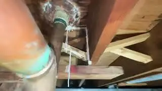 Home Inspection- Mold Inspection & Testing