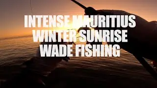 Intense Mauritius Winter Sunrise Wadefishing