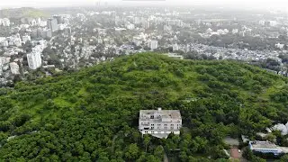 Nelda's CSR Tree Plantation Project With Walter Tools in Pune