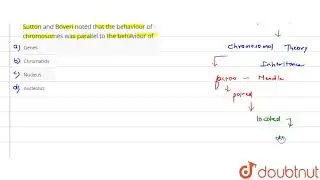 Sutton and Boveri noted that the behaviour of chromosomes was parallel to the behaviour of