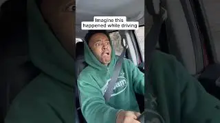 Crows while driving&hellip; #driving #crash  #crows #carcrashfails #funnyrelatable #shorts