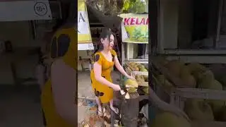 Tante Belah Kelapa Muda