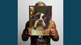 Tido